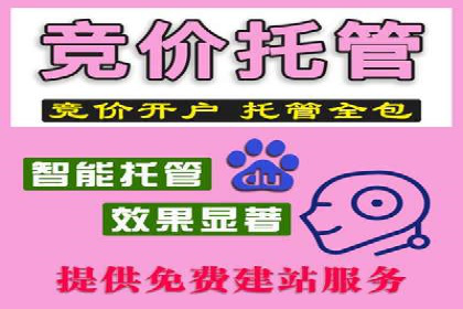 竞价推广策略解析：实战案例分析